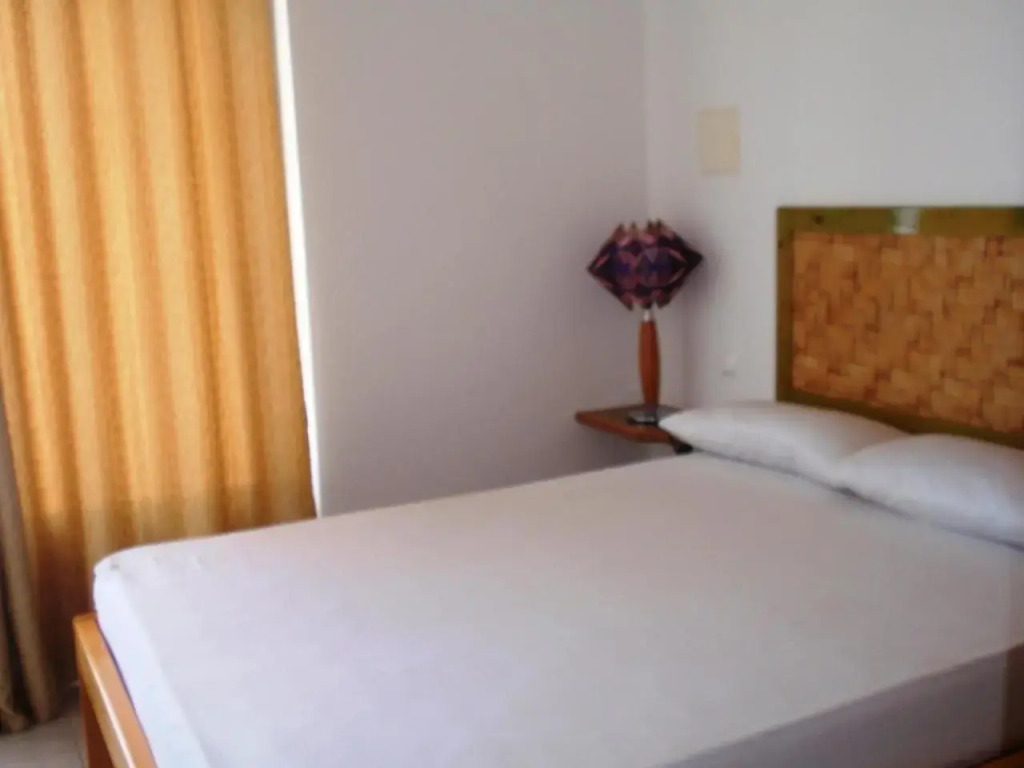 Zena Star - фото 10