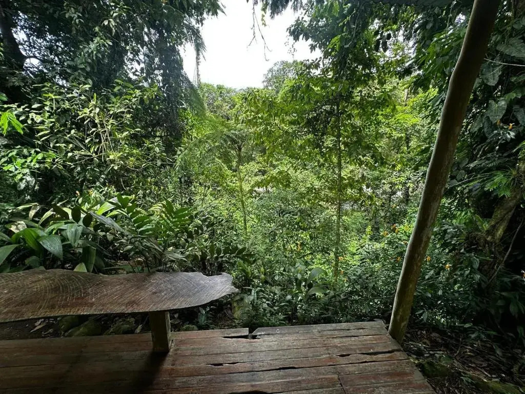 Casa Rio Blanco Eco Friendly B&B - фото 20