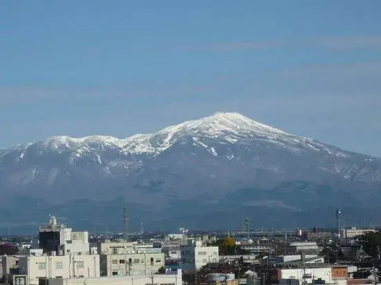 Sakata Green Hotel