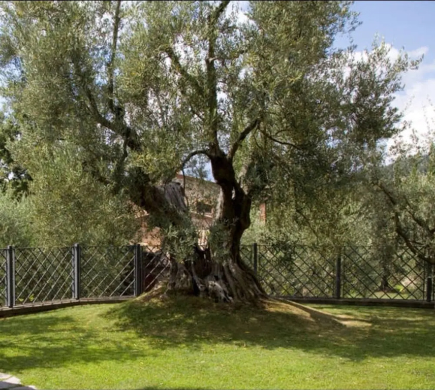 Relais Gli Ulivi