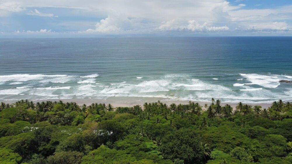 Bamboo Surf House - Hostel - фото 14