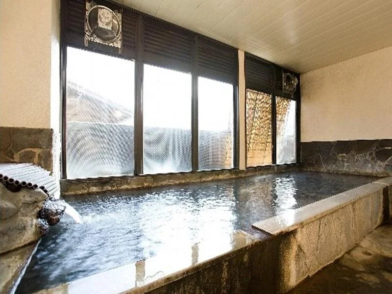 Ryokan Jo-no-yu - Général