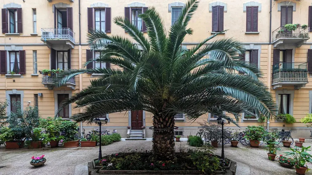 Italianway Comfort - Ceradini 3
