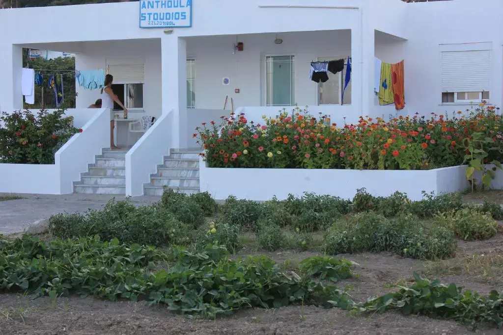 1 Bedroom Apartment with sea view