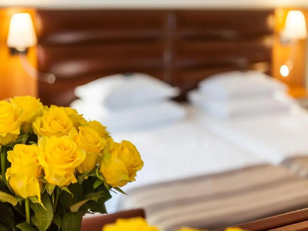 Standard Double room (full double bed)