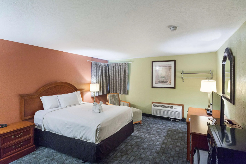 Standard Double room (full double bed)