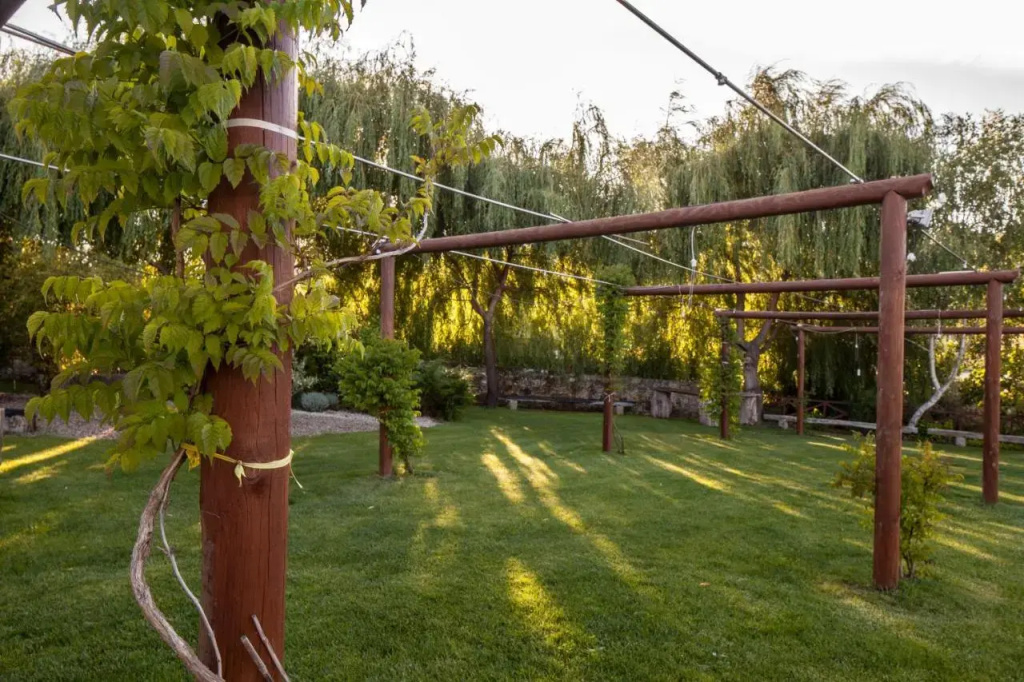 Casas Novas Countryside Hotel Spa & Events - Général