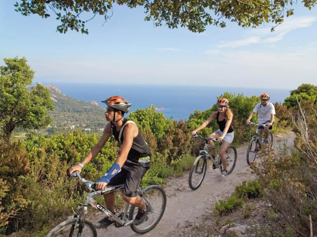 Hôtel de l'Esterel Pierre & Vacances - Général