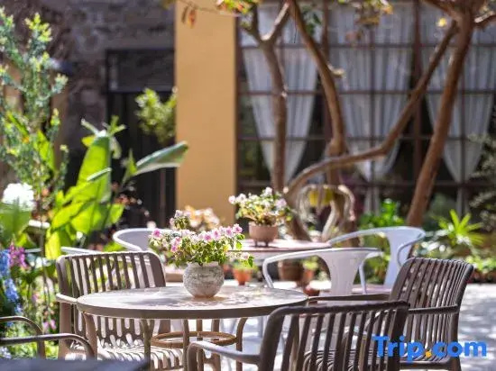 YOOOO·changgong's Meow Garden