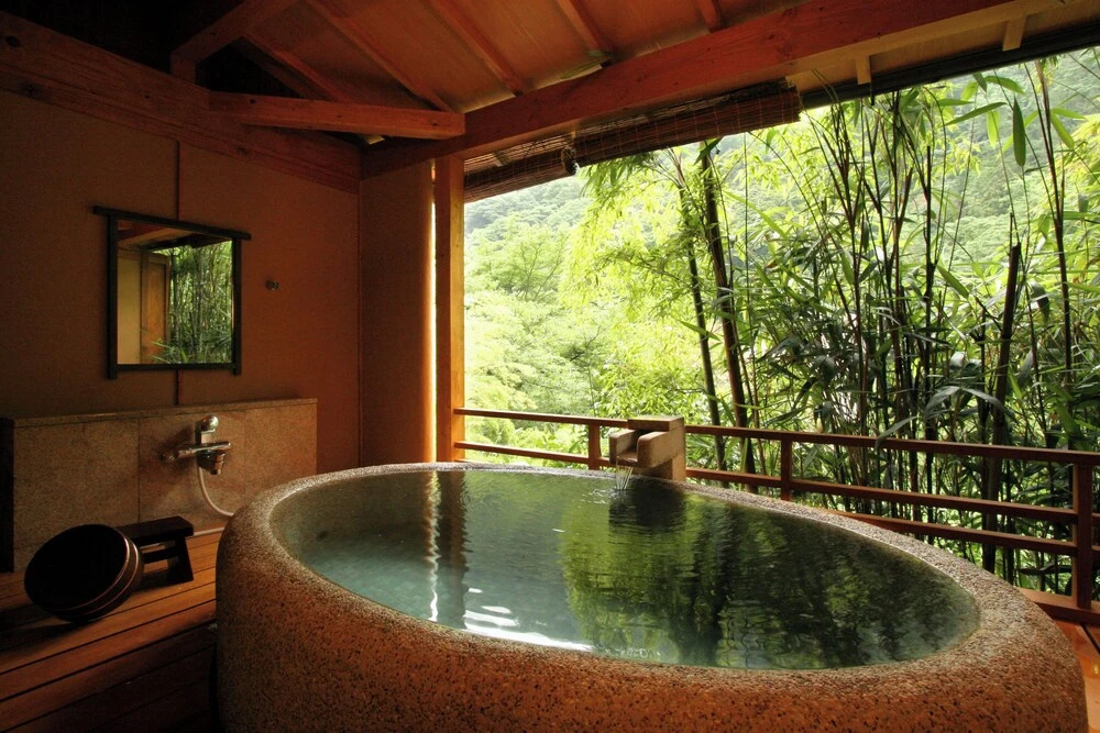 Tonosawa Onsen Yamano Chaya Ryokan 사진 3