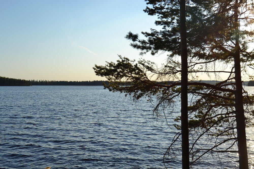 Beach & Waterfront