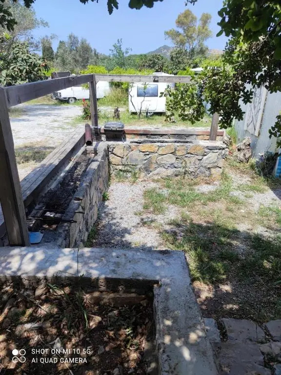 Bungalow with garden view
