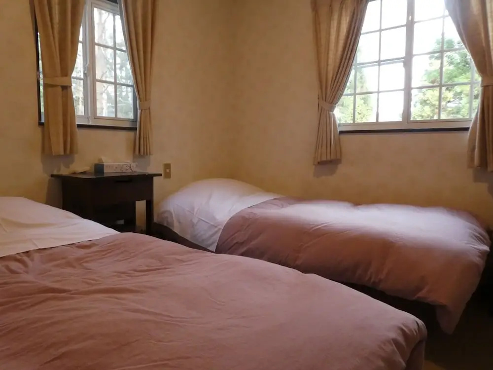 Standard Double room (twin beds)