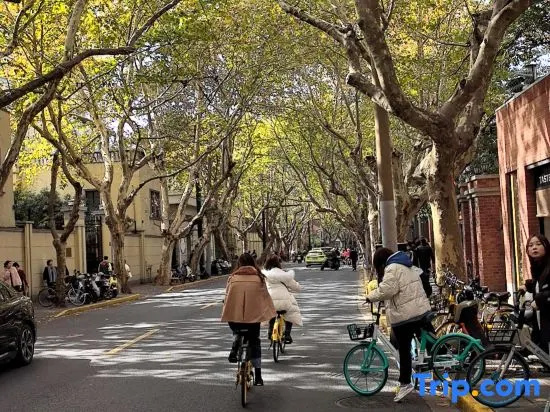 Shanghai Yidu Homestay (Tianzifang Branch)