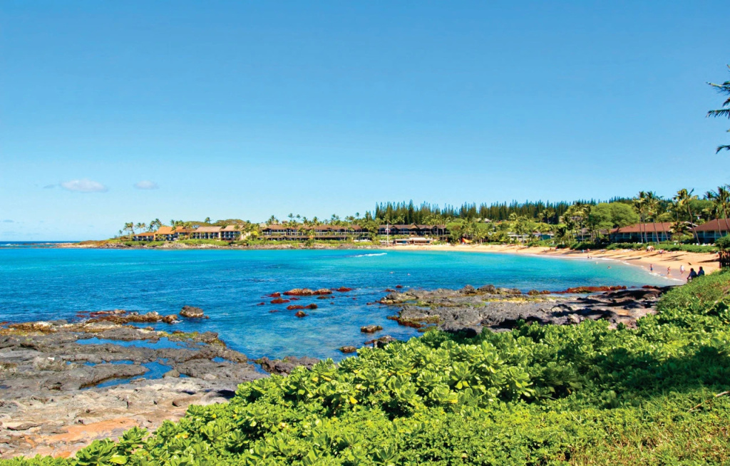 Beach & Waterfront