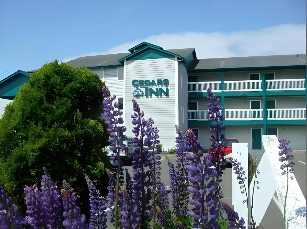 Hotel photo 14