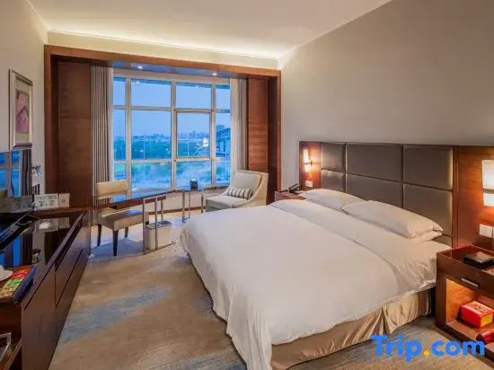 Business Double room with garden view (full double bed)
