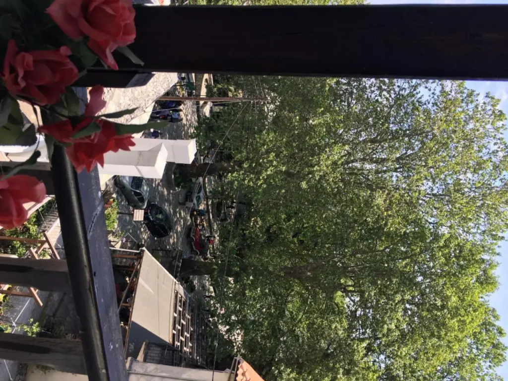 Hotel photo 49