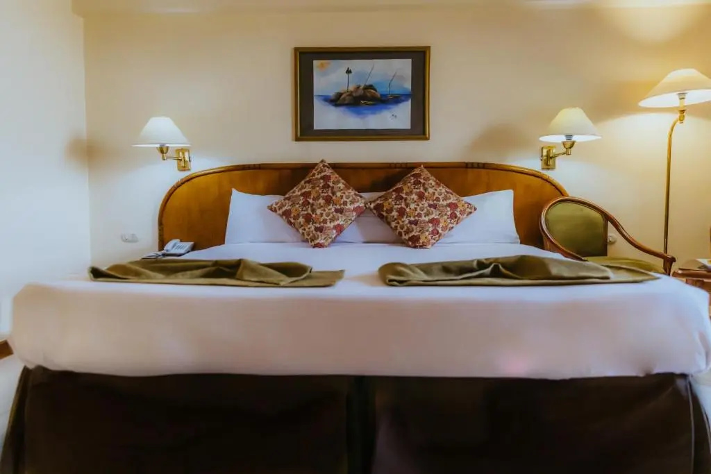 Standard Double room with pool view (full double bed)
