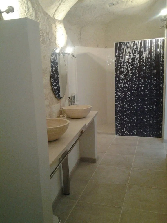 Afficher la photo 7 — Manoir des Roches 41