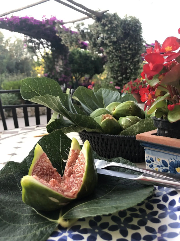 Hotel Al Mulino - Mediterranean Garden Retreat in AnaCapri - Général