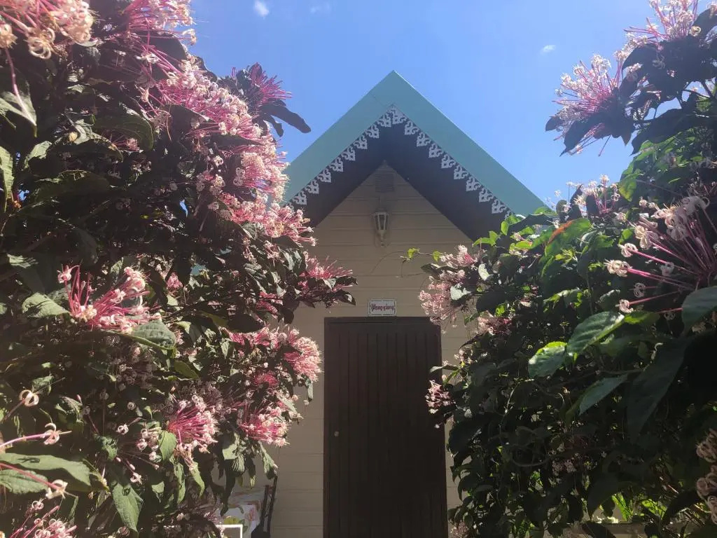 Bungalow with garden view