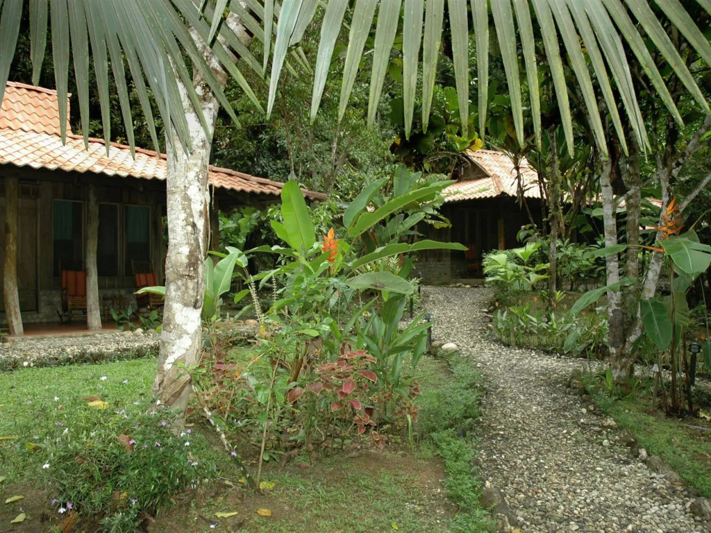 Esquinas Rainforest Lodge