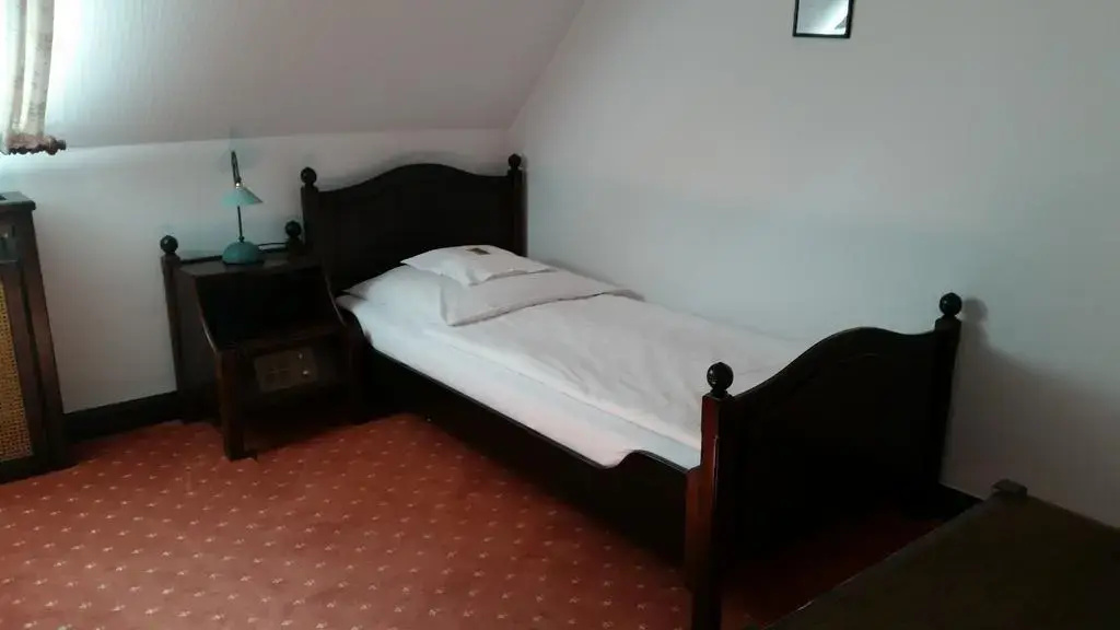 Hotel zur Traube - Général