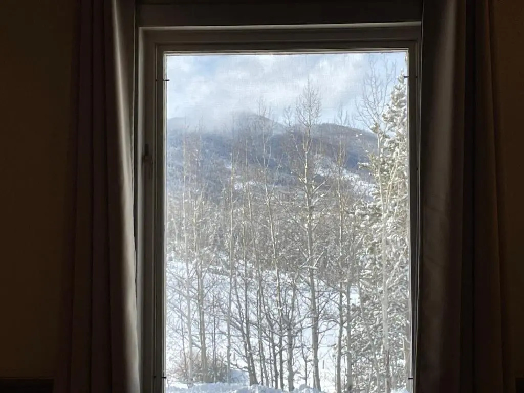Standard Double room with mountain view (full double bed)