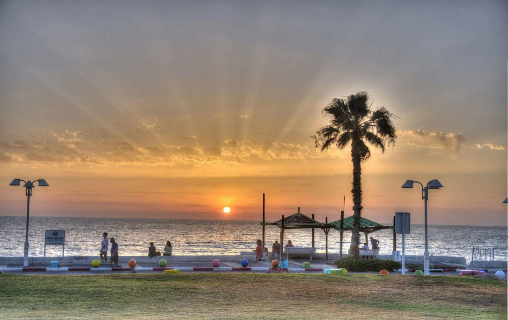 Palm on the Beach - фото 6