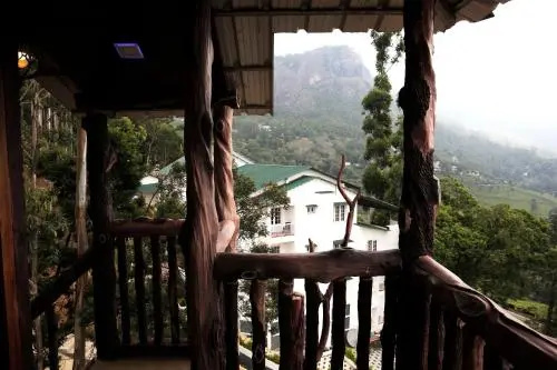 Balcony & Terrace
