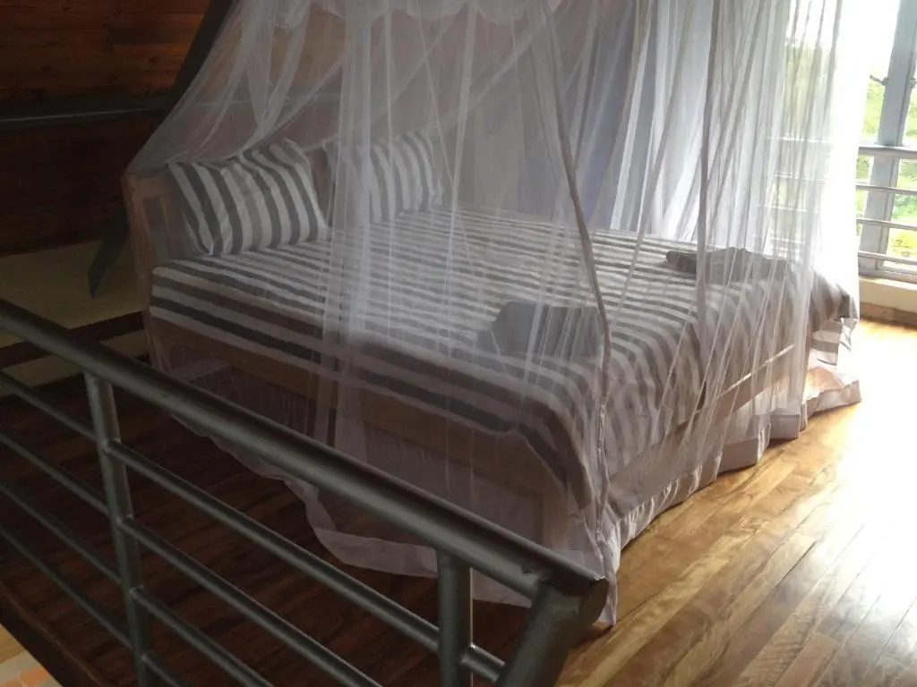 Yellow Haven Lodge - Chambres