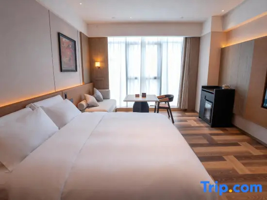 Standard Double room with city view (full double bed)