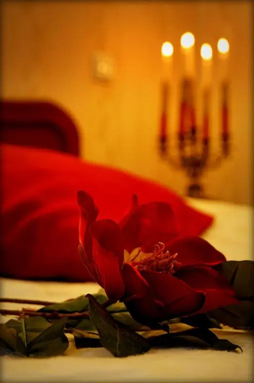 Hotel Zaodrze - Chambres