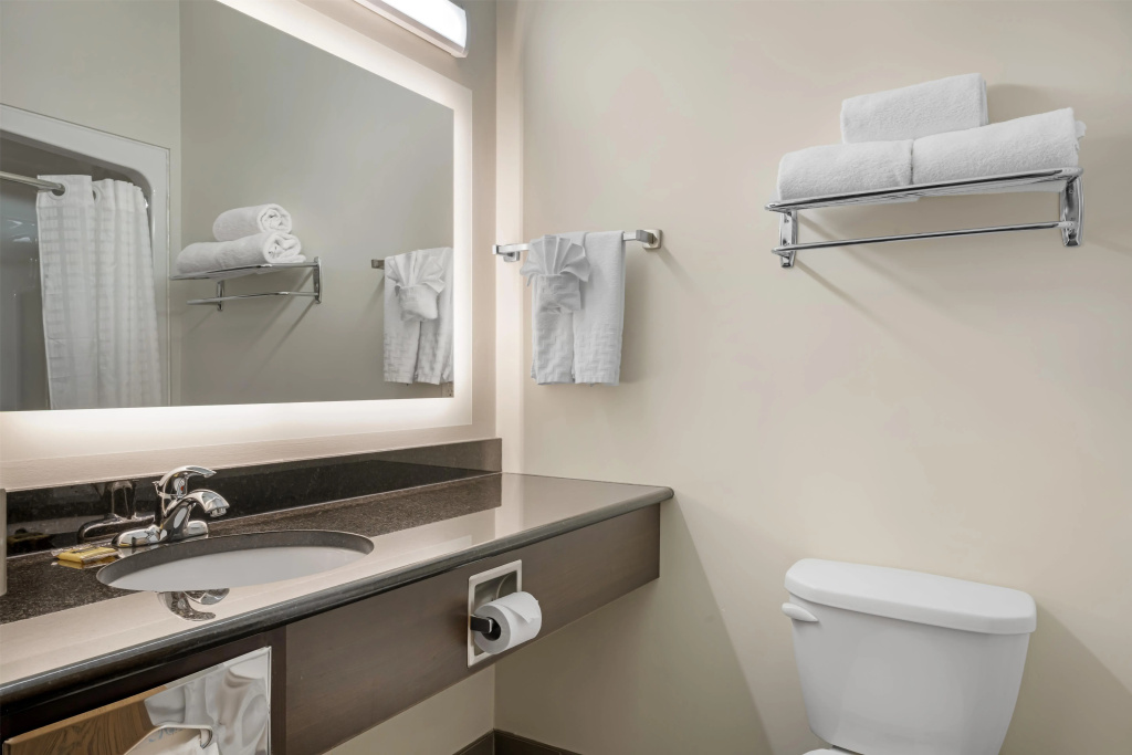 Best Western Plus Dartmouth Hotel & Suites - Général