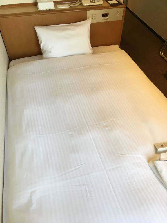 Smile Hotel Sugamo - Général