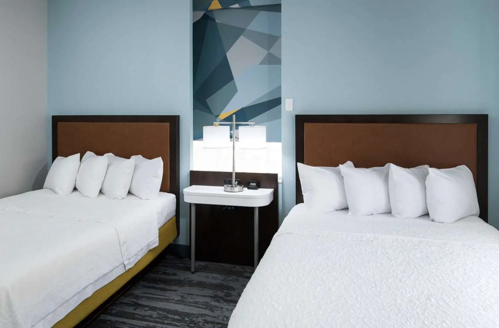Hampton Inn & Suites Atlanta-Downtown - Chambres