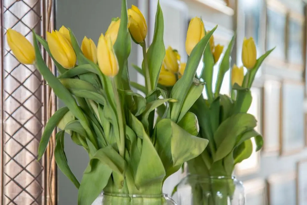 Dimora Caiammari Luxury Hotel & Spa - Chambres