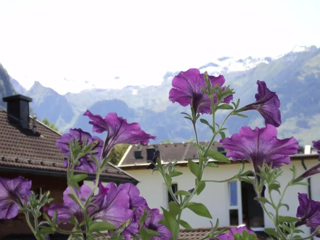 Apartmenthaus Gotthardt - Chambres