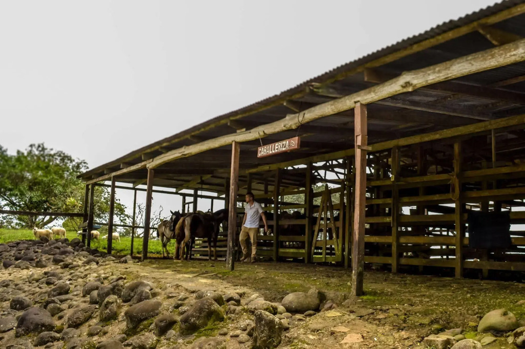 Termales del Bosque & Hot Springs - фото 49