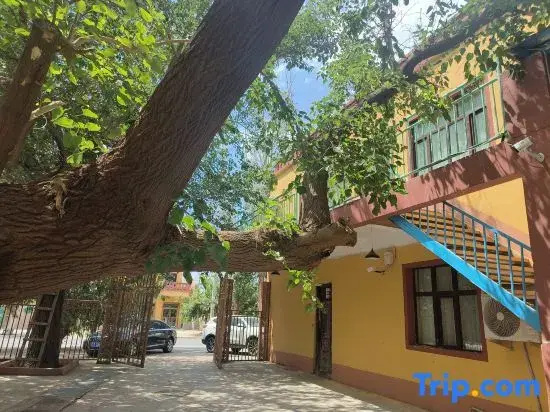 Moshang Sang Homestay