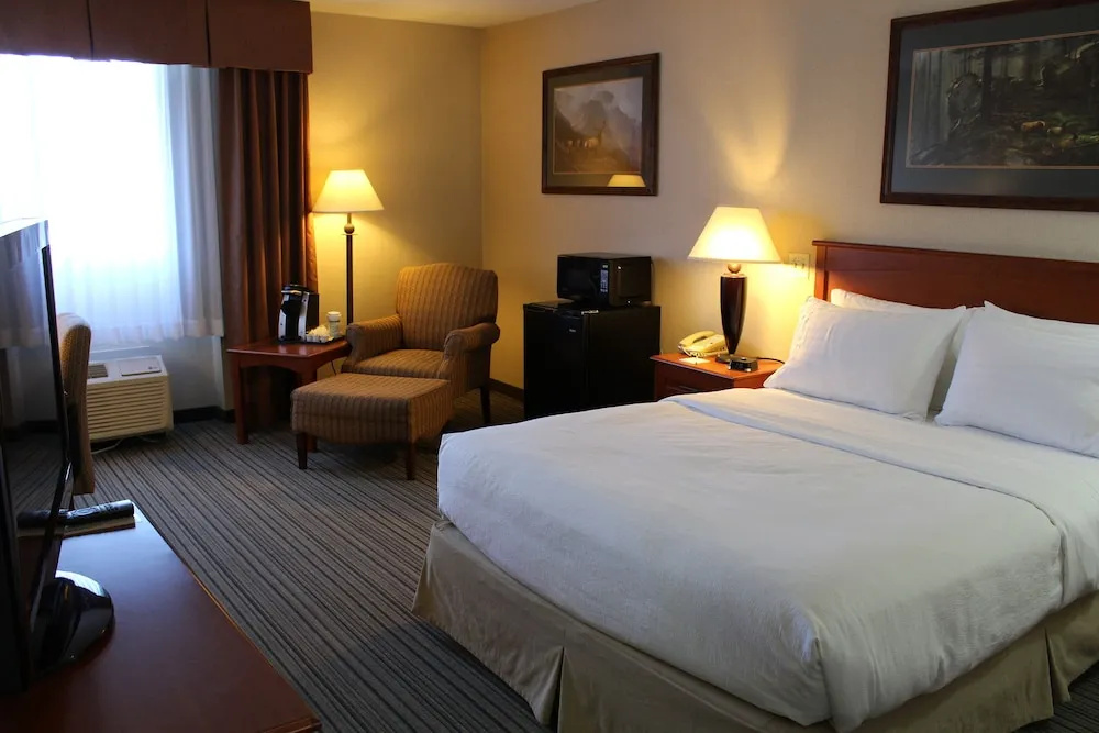 3 Rivers Hotel - Chambres
