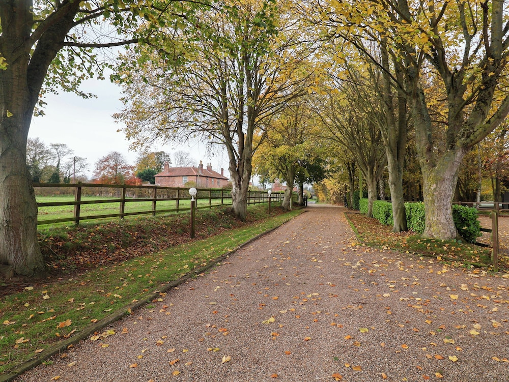 Beechwood