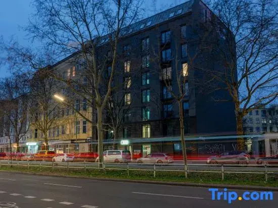 Homaris Kreuzberg 61