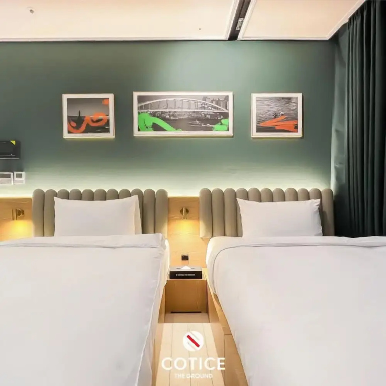 Standard Double room (twin beds)