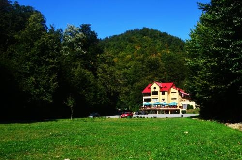 Pensiunea Magura — фото 4