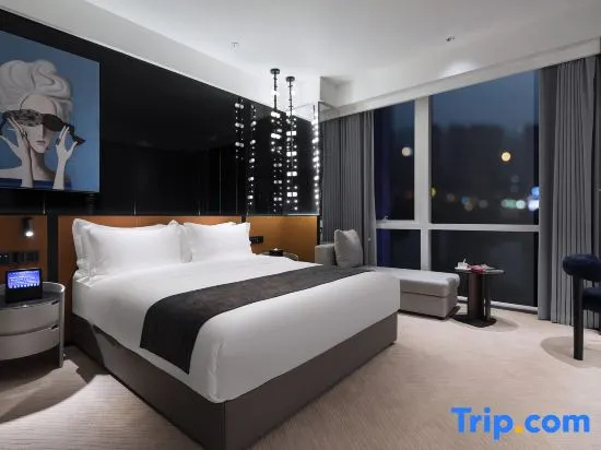 Standard Double room with city view (full double bed)