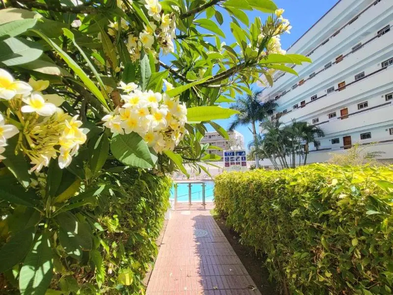 Las Camelias Apartments