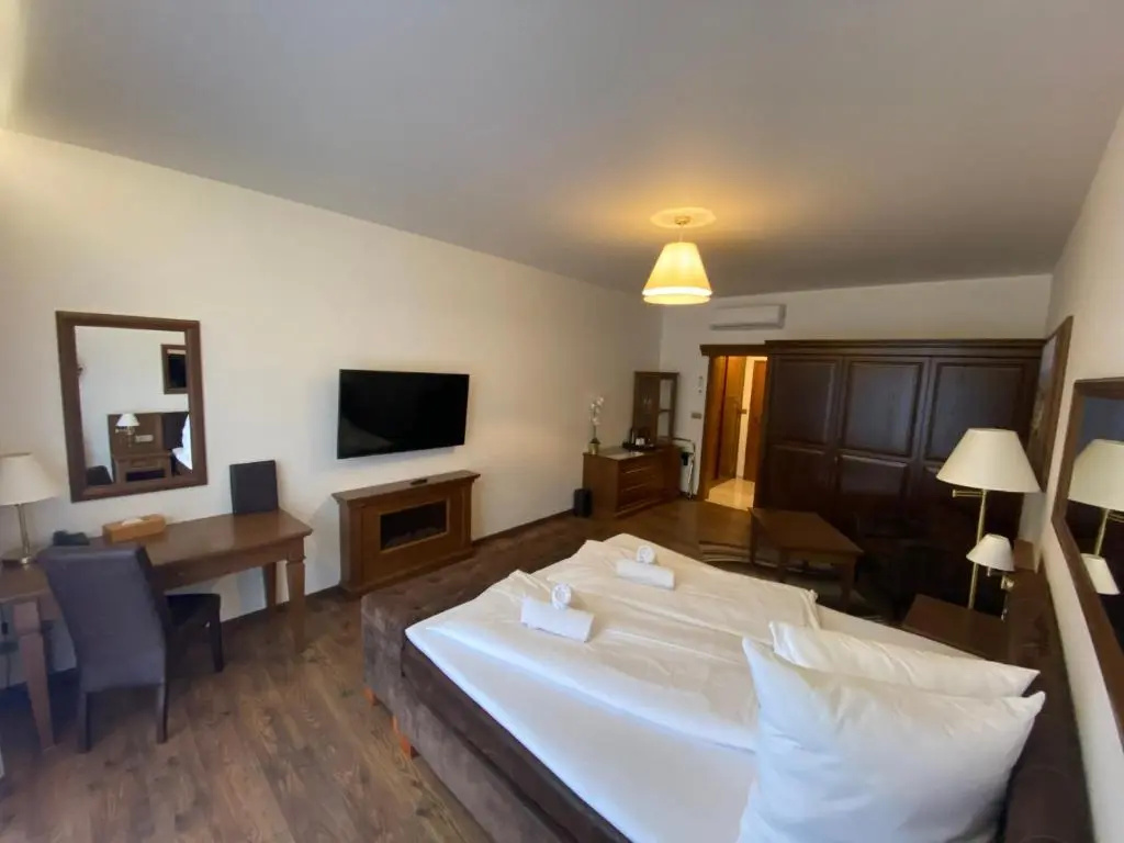 Parkhotel Brno - Chambres
