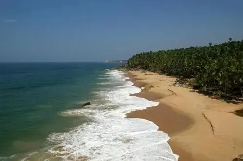 Marari Cleetus beach homestay - Général